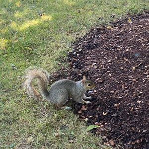 Meet your Posher, Leanna